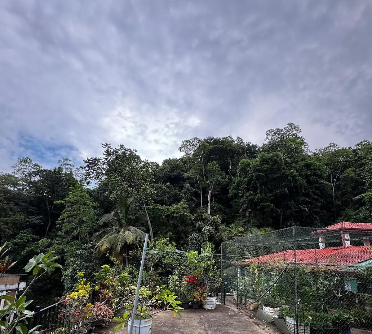 Daire City Hush - Kandy
